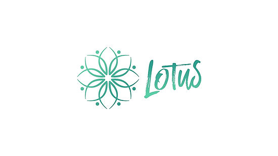 Lotus End of Year Campaign